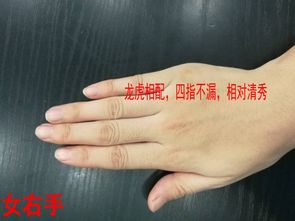 一、 事业持续发展：从机会洞察到落实力提升