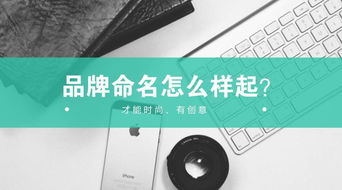 #随机噪音练习# 看看我怎么随口塞进去：