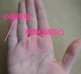 辨识方法论与系统化留意步骤