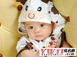 属狗的男孩可依取哪些小名呢？有没有什么忒别好的建议？