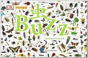 三、  家族亲戚：宗族凝聚力与社会支持网络的构建