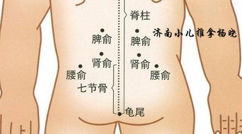 一、 研究背景与意义