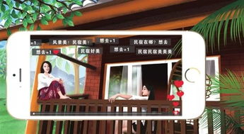 综艺节目的误导性认知