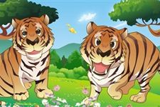 属龙哥哥和属虎妹妹性格是否相合？他们的性格特点有哪些？