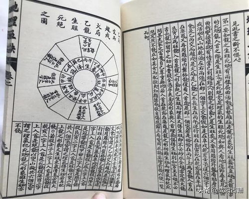 论喜怒七
