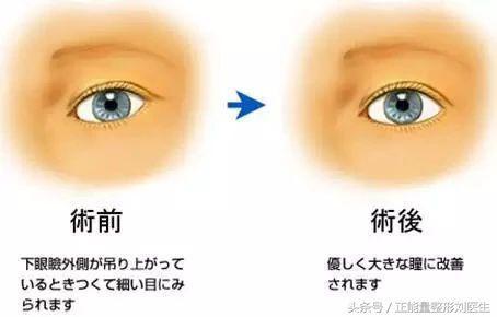 2. 临床诊疗建议