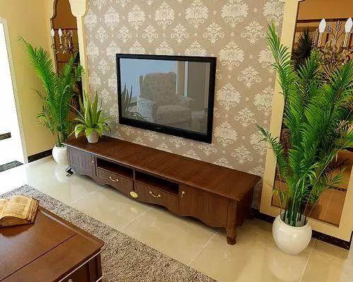 家里摆放笼子会对家居风水产生不良影响吗？