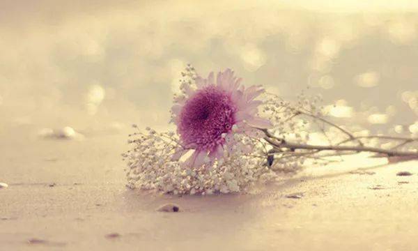 他/她是不是让我失望到心寒了呢？