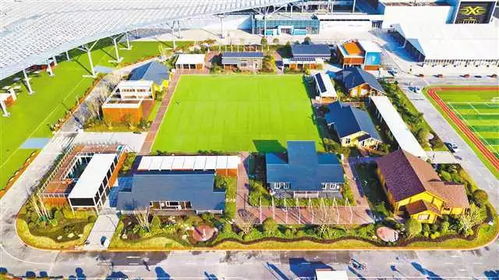 救命！套餐内容vs现实对比惨烈到哭