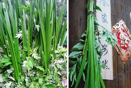 第六、 香囊佩饰及艾草菖蒲悬挂