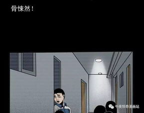 生肖星座因素的潜在关联