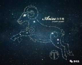 今日运势评分表