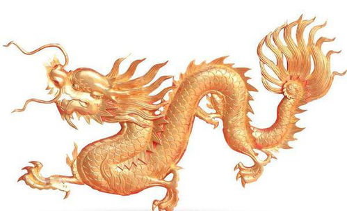 1976年属龙的人如何避免55岁人生劫数，延长寿命？