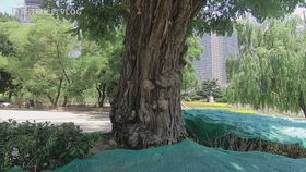 2.2 湖泊布局的关键要素