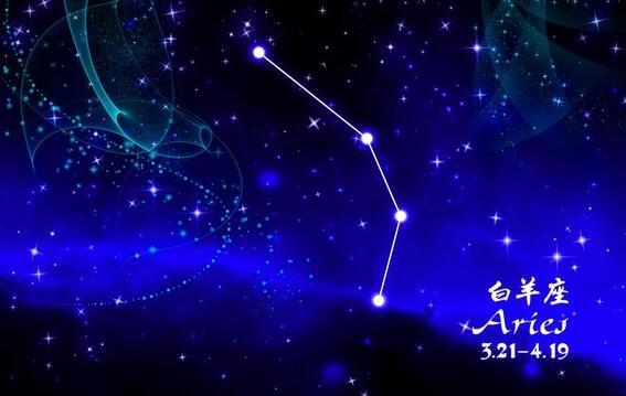 3.2 财务管理建议