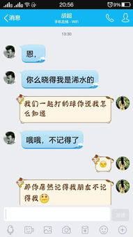 一、  男性数字身份的语言学分析：从“病态情兽”到“酸性脾气”