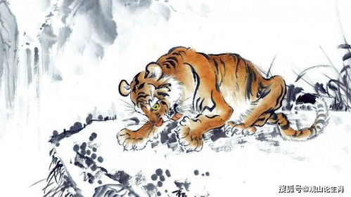 概论：长虎牙面相在传统相学与现代社会观照中的定位