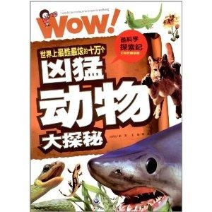 梦幻与神秘的探索：狗双鱼、 马天蝎与龙处女