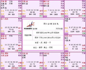 1．夫妻宫中有紫微破军