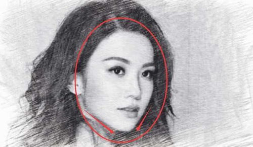二、 鼻子大却无肉