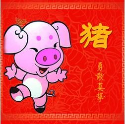 属猪人：服务升级与财务管理