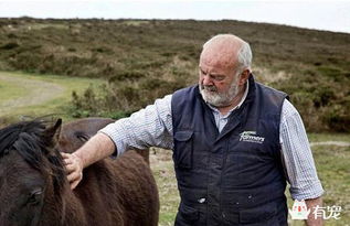 男人长八字胡是什么样子？