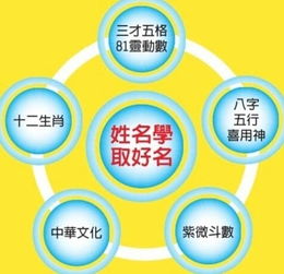 五行生克理论在群组命名中的辩证应用