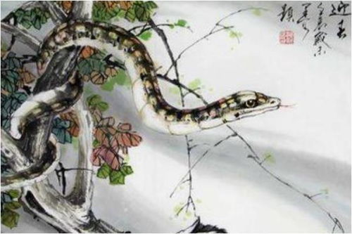 1977年属蛇人2026年感情运势及每月运势具体内容是什么？