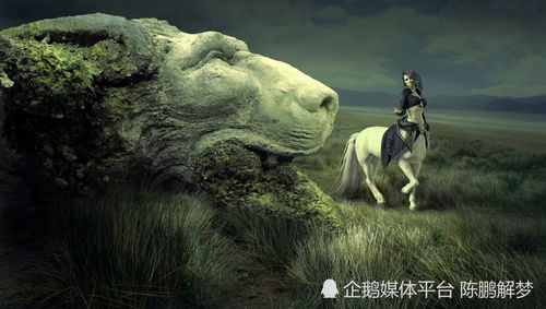 一、  梦见马驹的象征意义：周公解梦之解读
