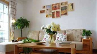 ：客厅风水与植物布局的内在逻辑