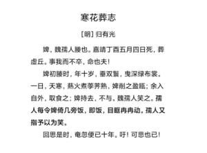 译文对照（意译版）