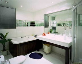 ：卫生间在传统环境哲学中的本体论地位