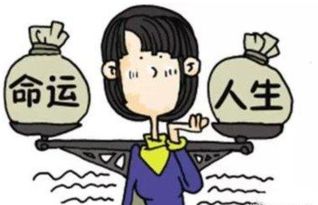 食伤旺盛与感情危机：内在性格的影响