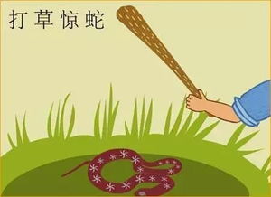 打草惊蛇所指的生肖是什么？这个生肖的含义是什么？