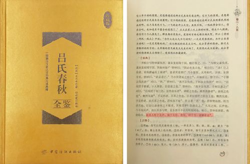二、 十地圆满论：从凡夫到圣人的渐进路径