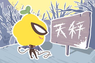 交往时应该注意哪些  星座 男?