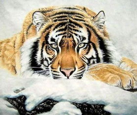 属猴人与属虎人2026年交往运势如何，2026年属猴人运势怎样？