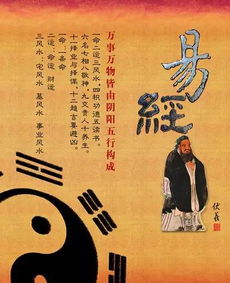 惯与“命运”的那些事儿，还有我的猫