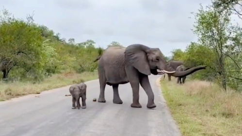 十、 补充说明：惯与命名的严肃思考与不正经建议