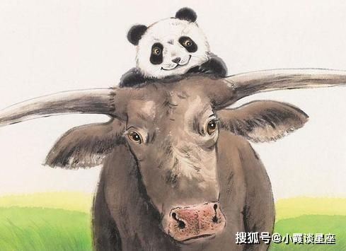 一、 属牛男性：固执与现实的双重压力