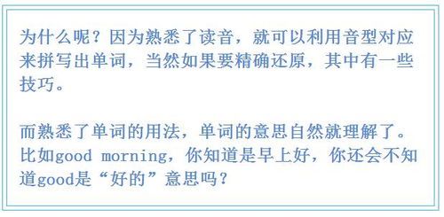 3.1 立论阶段：奠定稳固基石