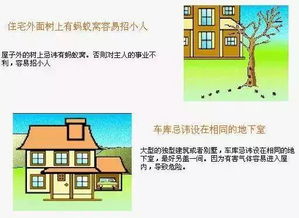 ：居所风水气场的隐形影响