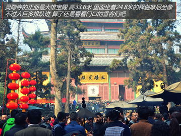 停车费——比油还贵的地皮