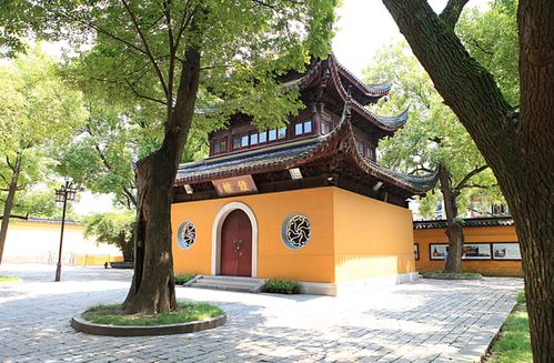 吐血整理！2026年最新玄学购票攻略