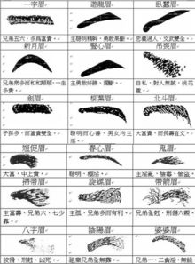 一．眉形特征及其心理状态学映射