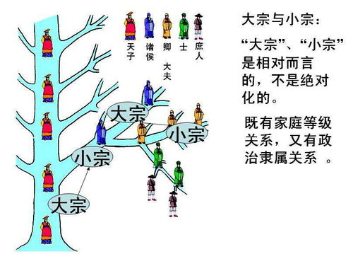 （三）蛇（巳）——睿智审慎型