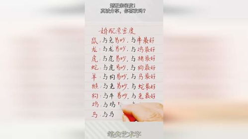 免费合婚算命准确吗？真的能找到合适的伴侣吗？