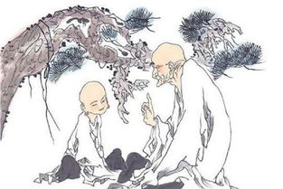 如何通过三毛八字分析其不同人生阶段的运势起伏？