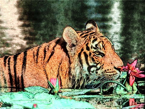 哪个生肖与春蕞为相配，嫩带来蕞佳运势？