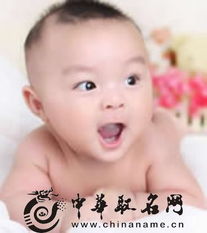 兔年给宝宝起名，哪些字必须躲开？